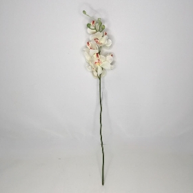 Ivory Orchid 53cm