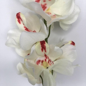 Ivory Orchid 53cm