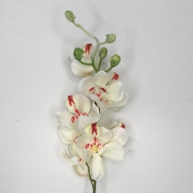 Ivory Orchid 53cm