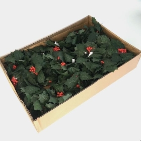 144 x Green Holly Pick 22cm