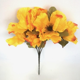 Yellow Autumn Poppy Bush 32cm