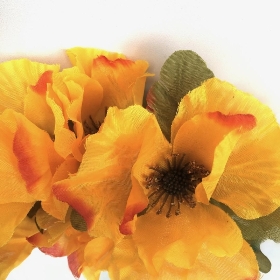 Yellow Autumn Poppy Bush 32cm