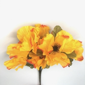 Yellow Autumn Poppy Bush 32cm