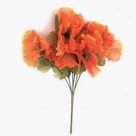 Orange Autumn Poppy Bush 32cm