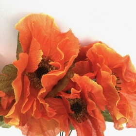 Orange Autumn Poppy Bush 32cm