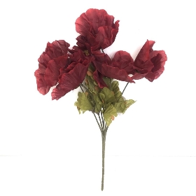 Burgundy Autumn Poppy Bush 32cm