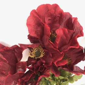 Burgundy Autumn Poppy Bush 32cm