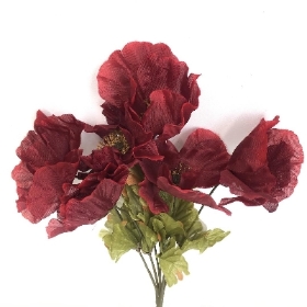 Burgundy Autumn Poppy Bush 32cm