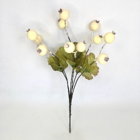 Ivory Hawthorn Berry Bush 35cm