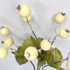 Ivory Hawthorn Berry Bush 35cm