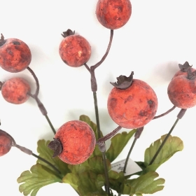 Red Hawthorn Berry Bush 35cm