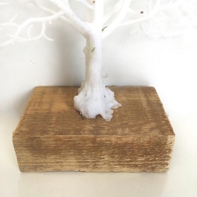 White Coral Tree 44cm