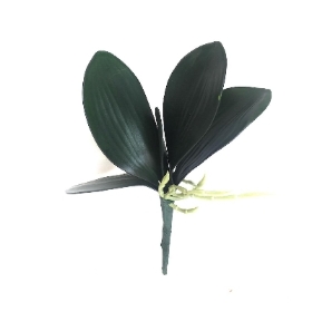 Orchid Roots 23cm