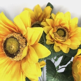 Sunflower Bush 45cm