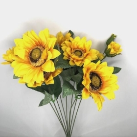 Sunflower Bush 45cm