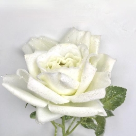 White Glitter Flocked Rose 71cm