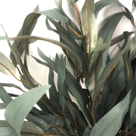 Green Nicoli Eucalyptus Bush 56cm