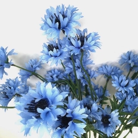 Light Blue Cornflower Bush 44cm