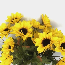 Yellow Mini Sunflower Bush 42cm