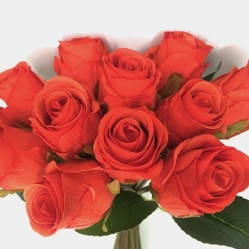 Orange Rose Bundle 30cm