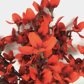 Dark Orange Autumn Blossom Bush 50cm