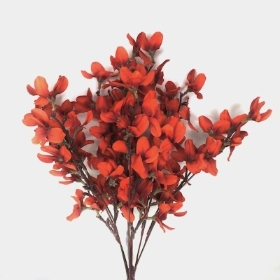 Dark Orange Autumn Blossom Bush 50cm