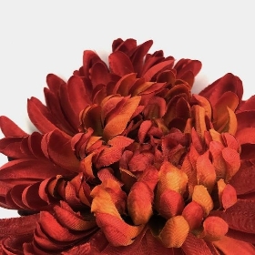 Dark Orange Bloom 74cm