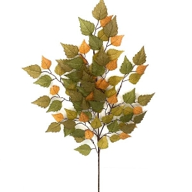 Orange Brown Birch 62cm