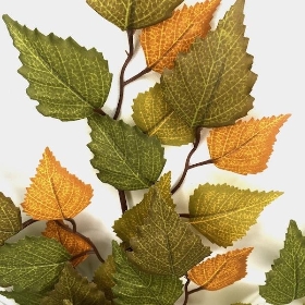 Orange Brown Birch 62cm