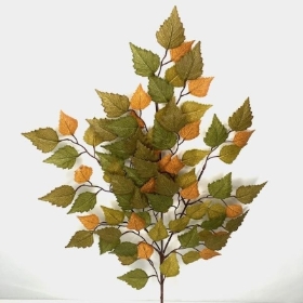 Orange Brown Birch 62cm