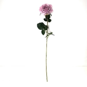 Lavender Open Rose 74cm