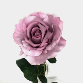 Lavender Open Rose 74cm