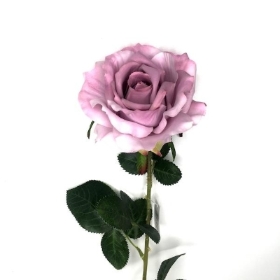 Lavender Open Rose 74cm