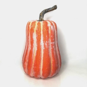 Large Butternut Pumpkin 29cm