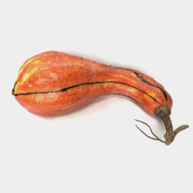 Orange Gourd 24cm