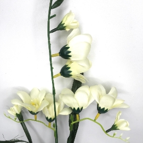 Ivory Freesia Spray 70cm