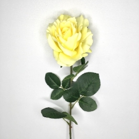 Yellow Open Rose 75cm