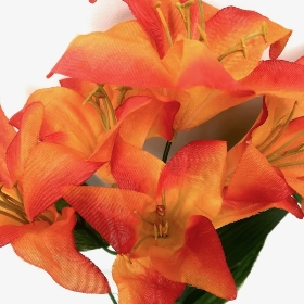 Orange Lily Bush 36cm