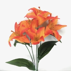 Orange Lily Bush 36cm