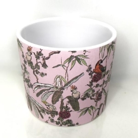 Parrot Pot 10cm