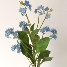 Forget Me Not Blue 30cm 