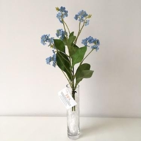 Forget Me Not Blue 30cm 