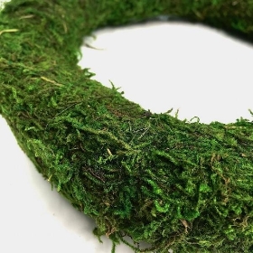 Moss Wreath 20cm