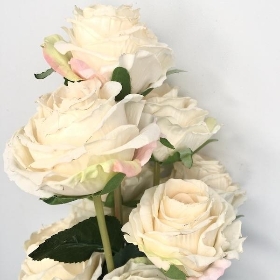 Ivory Dry Rose Bundle 72cm