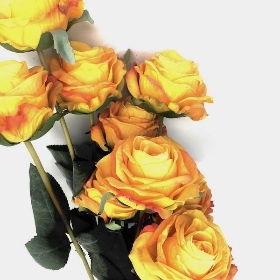 Mustard Dry Rose Bundle 72cm