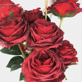 Red Dry Rose Bundle 72cm