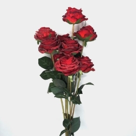 Red Dry Rose Bundle 72cm