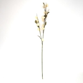 Ivory Chinese Lantern Stem 82cm