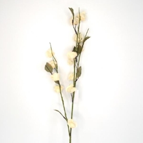 Ivory Chinese Lantern Stem 82cm