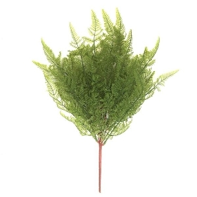 Green Hunters Fern 48cm